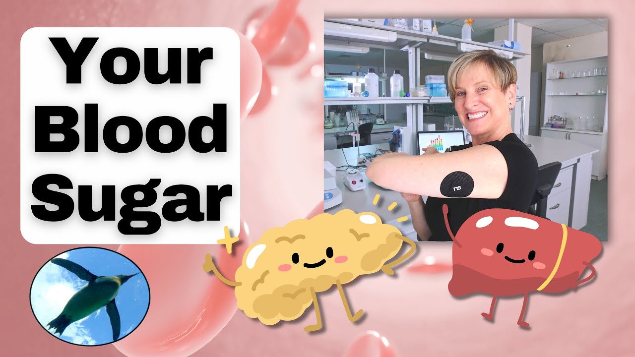 Blood Sugar Premier Producto