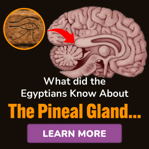 Pineal XT (ไพนิล เอ็กซ์ที) Producto